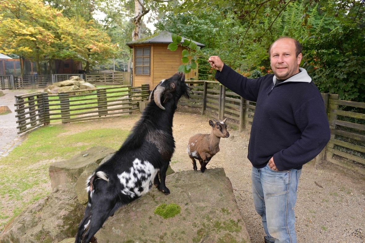 🌳 헤어초겐리트 공원 (헤어초겐리트파르크)